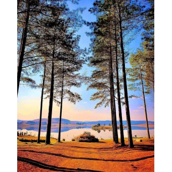 Experiências de estadias no Campo